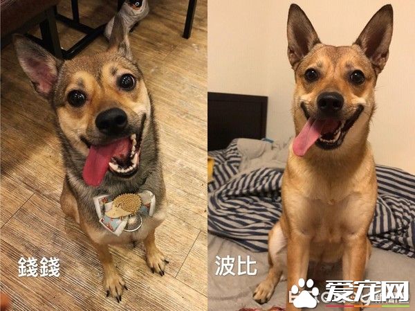 只是長的像還是真兄弟？緣分真奇妙