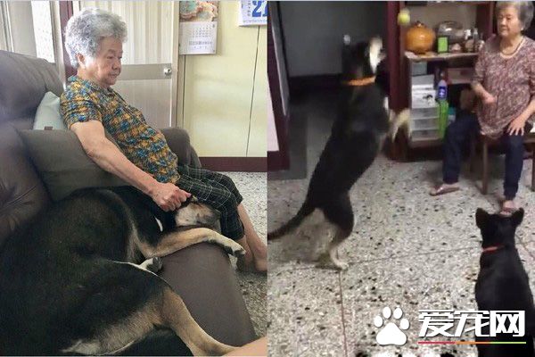 米克斯在阿婆家住半年 從少女變成了大嬸