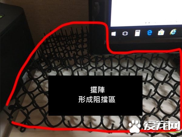 貓奴被主子擾亂工作出大招 成功讓貓咪氣得牙癢癢