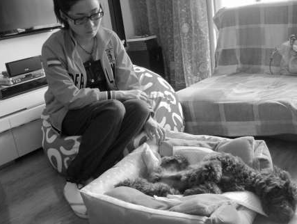 貴賓犬腳筋被殘忍挑斷 兇手至今還沒找到