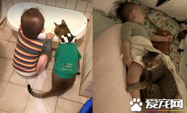 吸貓運動請從小做起 小小年紀就有專業貓奴氣質