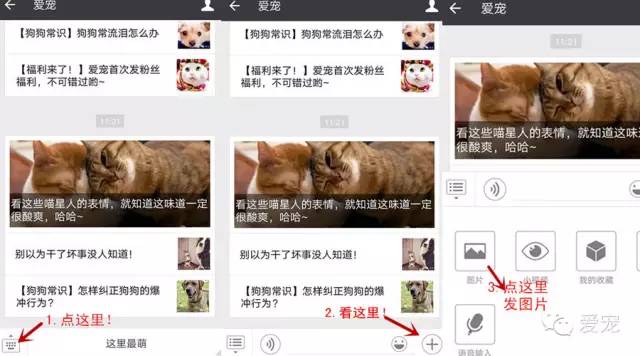 【福利來了！】愛寵首次發粉絲福利，不可錯過喲~ 