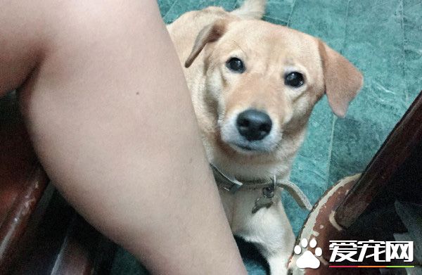 你一口我一口 阿公每天給金孫汪喂早餐
