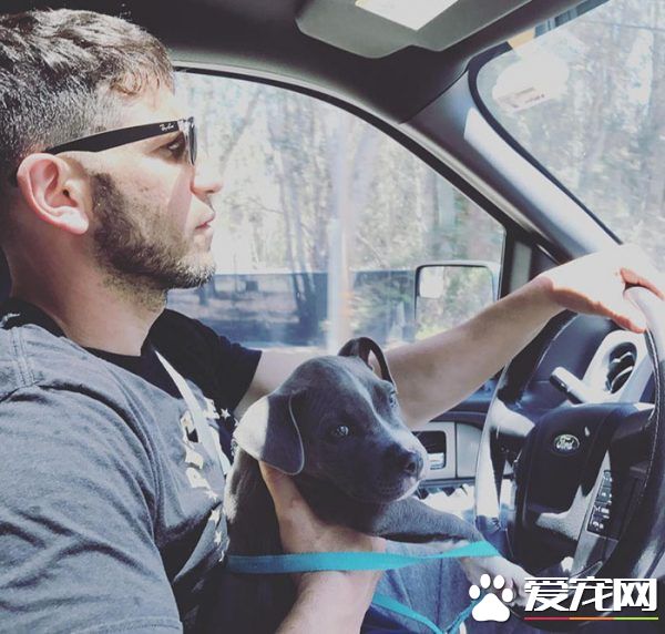 銀幕上的粗獷硬漢 私下卻是位強悍又愛動物的真男人