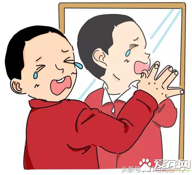 狗是否知道自己是狗？