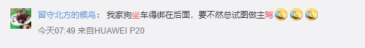 讓狗狗坐副駕駛 誰知卻慘遭罰款和扣分