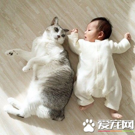 15歲貓哥哥自從妹妹出生 變身超溫柔稱職保姆