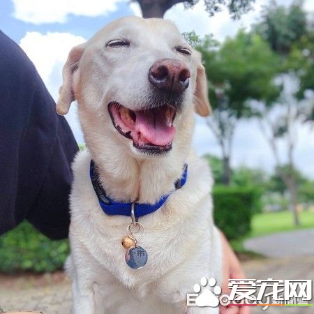大雨激發的創 小布穿上包貨很強的媽媽牌雨衣