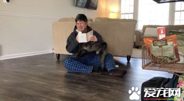 中途第一只狗狗就舍不得送走 只好直接收編