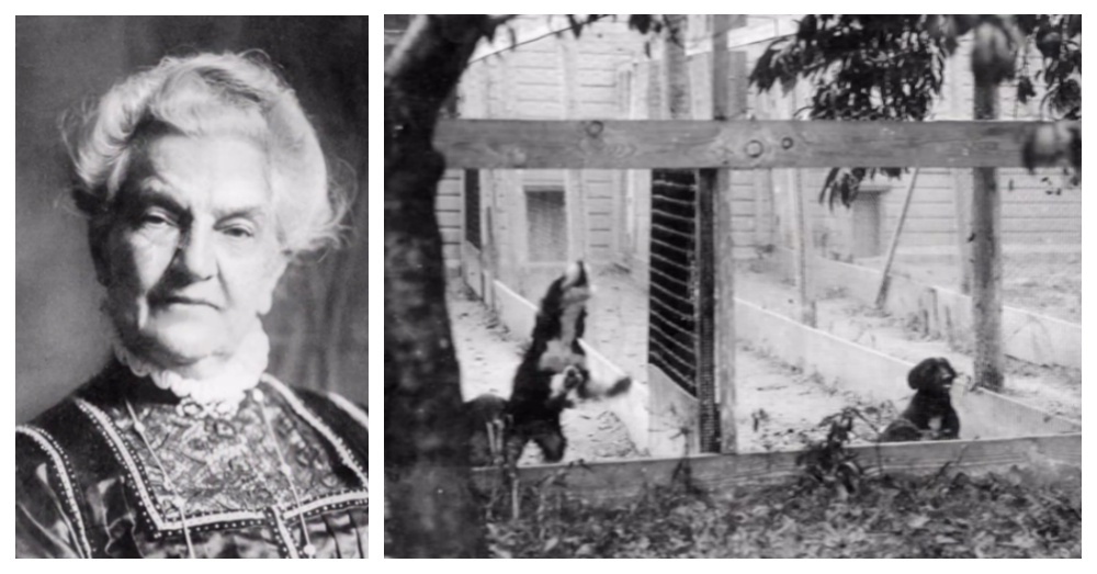 Caroline Earle White：美國第一個動物收容所是由150年前的她創立的