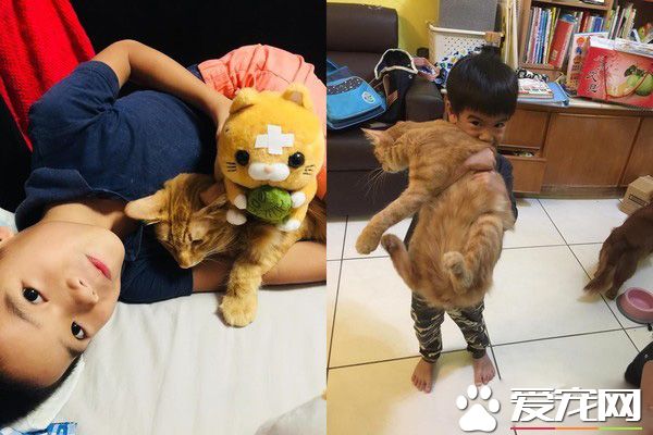 后腦勺好聞嗎? 萌娃抱黑貓后腦勺狂吸