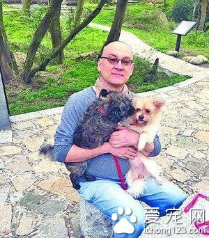 50歲外教在國內收養40只狗狗 稱狗狗不是玩具