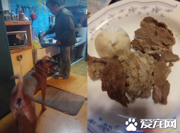 阿公給金孫下廚煮豐盛早午餐 讓飼主吃醋無奈