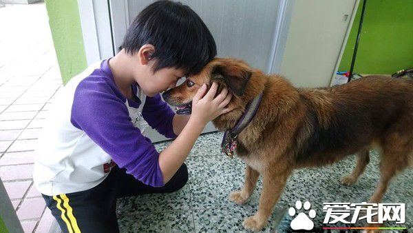 男孩每節下課都會去找校犬 上演偶像劇畫面