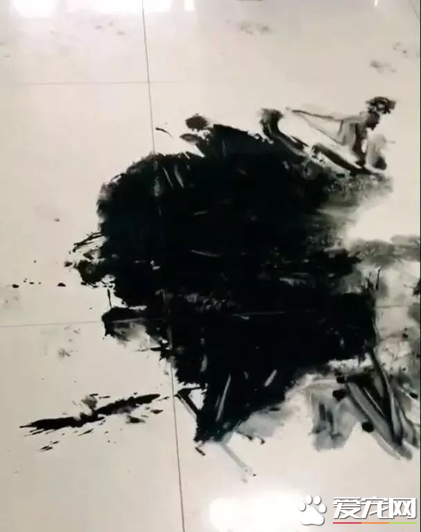 這只阿拉斯加火了，趁主人不在家用沾滿墨水的狗毛在地創作了一幅阿拉斯加大師