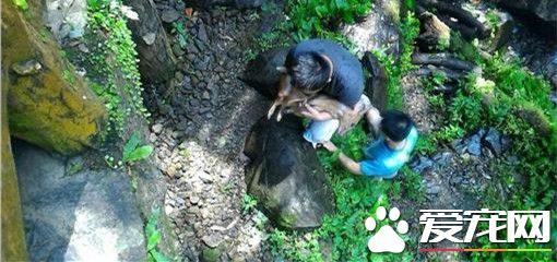 小山羌跑過頭墜谷 兩型男涉水搶救