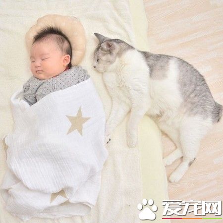 15歲貓哥哥自從妹妹出生 變身超溫柔稱職保姆