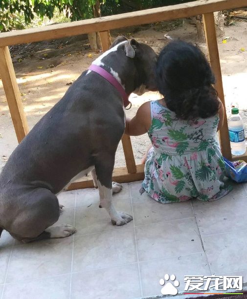 鄰居告知他家發生火災 男子不顧危險進火場救愛犬