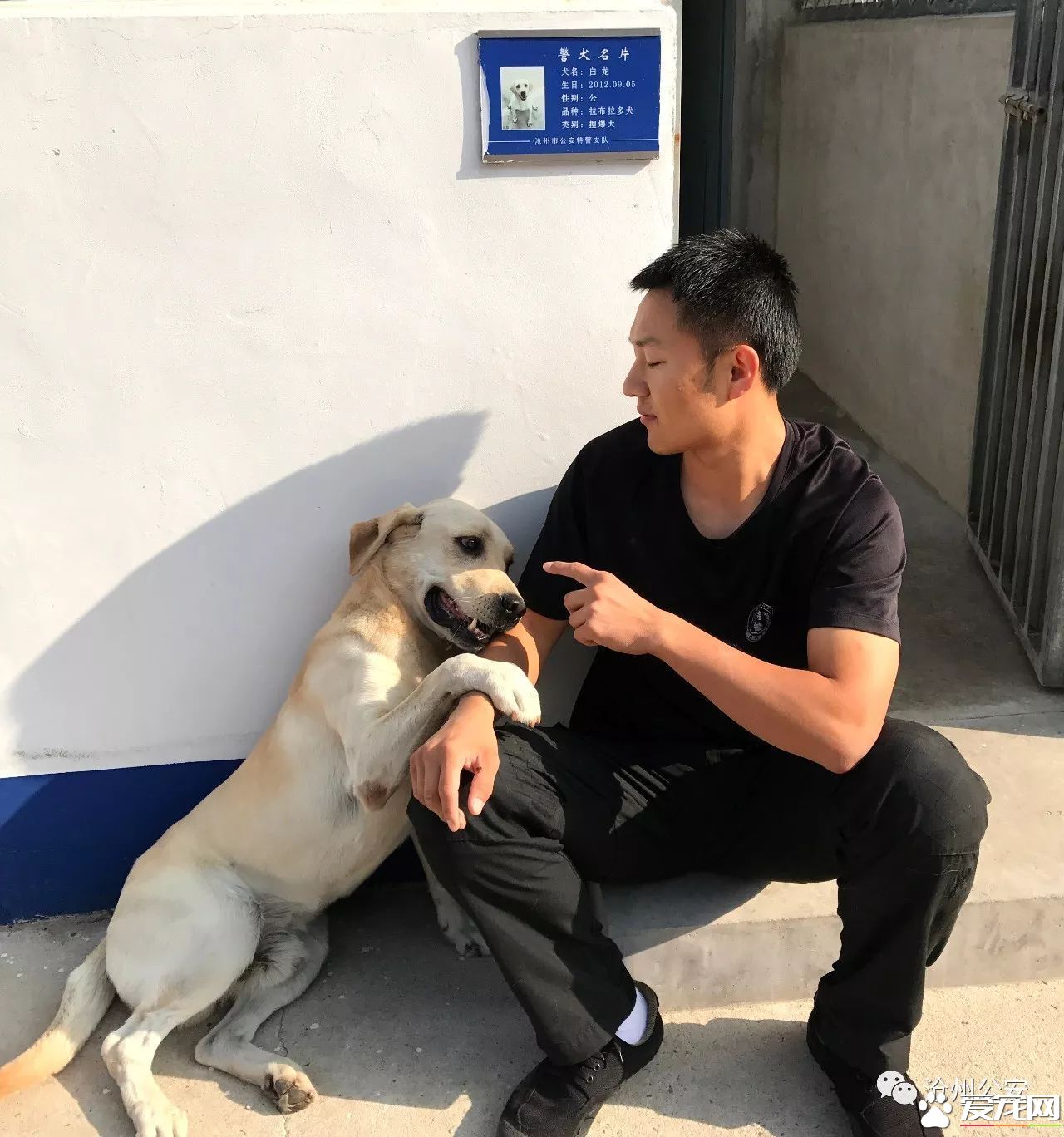 警犬訓導員平日的工作是啥樣的？揭秘和警犬“談戀愛”的人