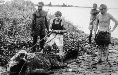 男子野外捕獲鱷魚帶回家養 一起生活40年之久