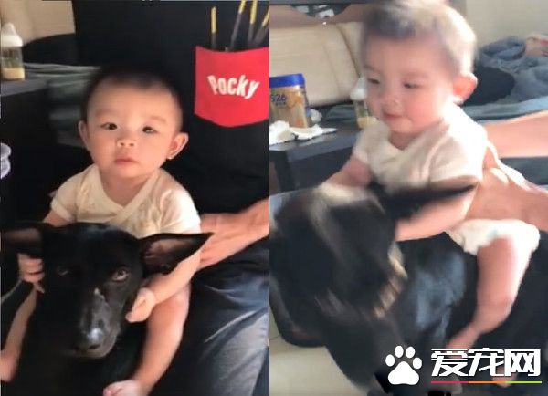 萌片錄到一半時 坐騎汪超淡定將妹妹載走!