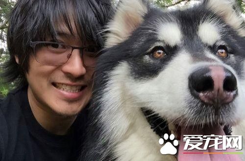 網紅寵物成名套路 身價竟達七位數