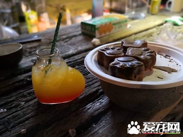 佛系經營方式的貓咖啡廳 現任店長背后故事超感人