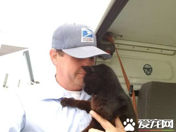 傲嬌黑貓超粘人 不摸摸抱抱便不下車回家
