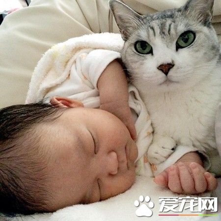 15歲貓哥哥自從妹妹出生 變身超溫柔稱職保姆