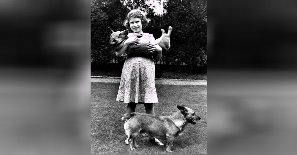 英國女王哀悼失去的愛犬 這只柯基卻是令她最傷心