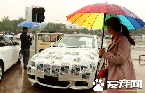 尋狗心切 寶馬車車主滿車貼滿尋狗啟示