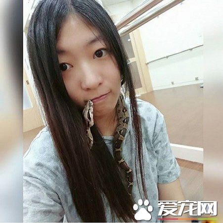 蛇也有親人的一面 媽媽與蛇一起玩平板超溫馨！
