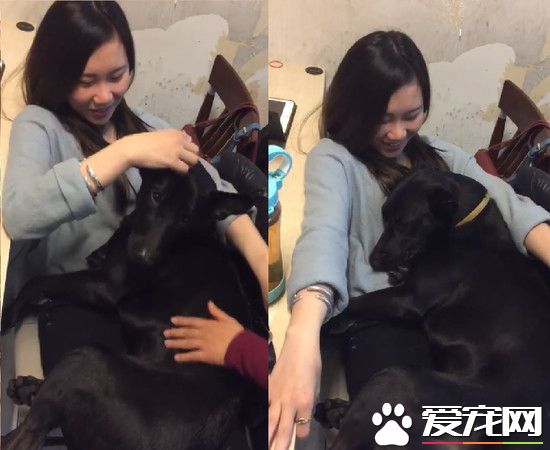 吃豆腐吃的太明顯啦! 好色米克斯專挑美女下手