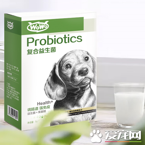 狗狗拉稀怎么辦，找準原因再吃寵物益生菌調理腸道健康