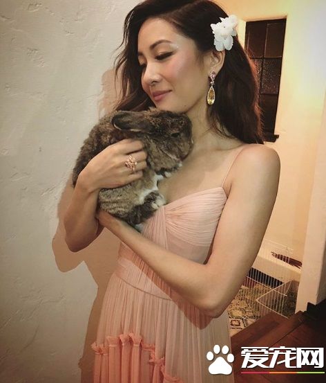 瘋狂亞洲富豪女主 銀幕上強勢私下卻是十足兔奴