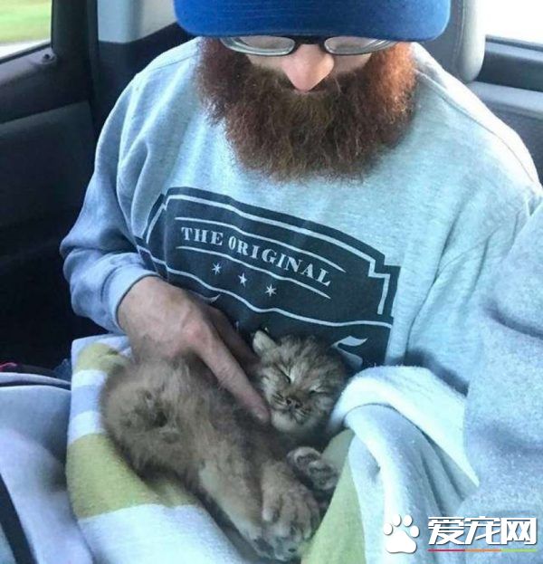 馬修偶遇小貓竟是被丟棄的猞猁  舉手之勞救猞猁命