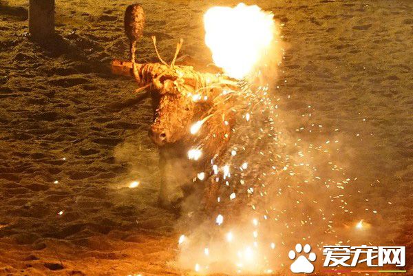 西班牙村莊奔牛節 依然有殘忍虐待動物的傳統儀式