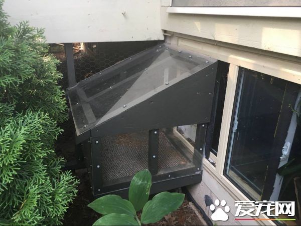 貓奴打造超夢幻樹屋 室內貓也可以出去透透氣