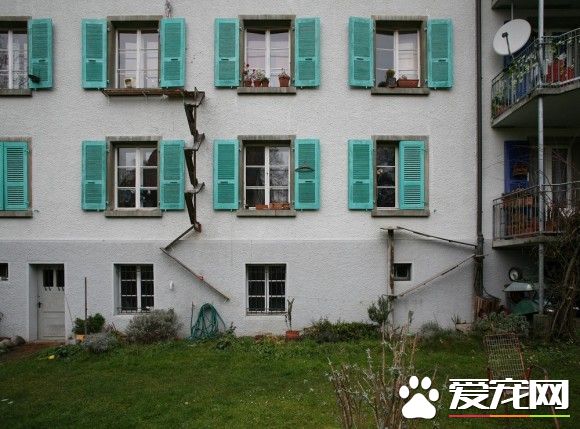 攝影師發現瑞士奇景 每家都有貓咪專屬的貓樓梯