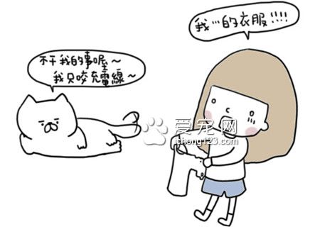 為什么狗狗總愛咬衣物?讓我們來了解下到底為什么吧!