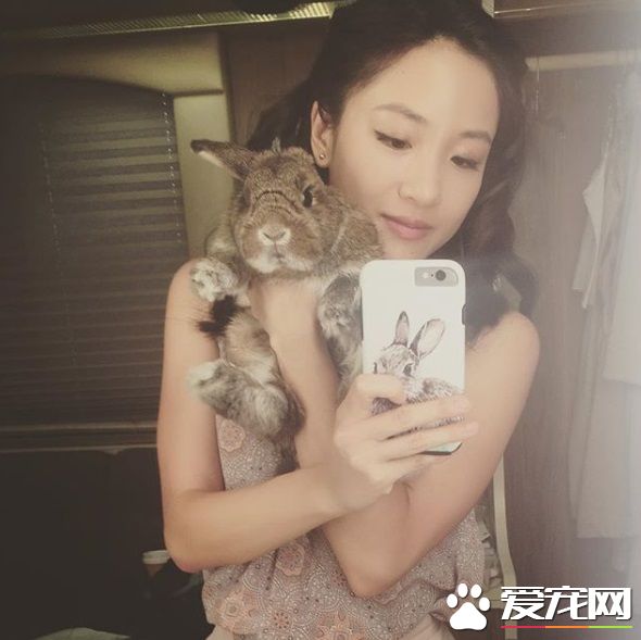 瘋狂亞洲富豪女主 銀幕上強勢私下卻是十足兔奴