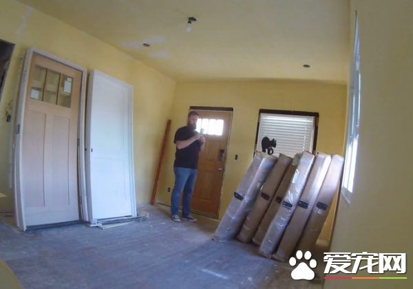 超可愛反差萌 魁梧大漢化身笨蛋貓奴