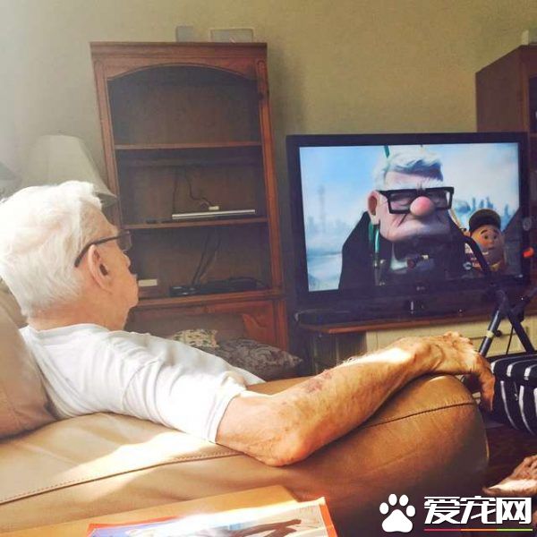 這組合超萌！ 美國87歲爺爺和愛犬扮天外奇跡