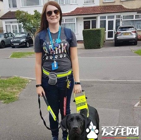 盲人被罵騙子趕下公車 無知婦女：導盲犬沒有黑的