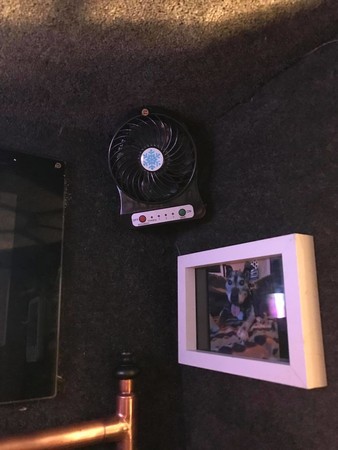 狗狗瞇眼監工超豪華狗窩 完成照驚呆網友：有電視 比我房間還高級