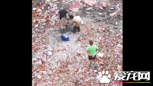 武漢兩男殘忍虐死貴賓狗 竟還剝皮吃肉