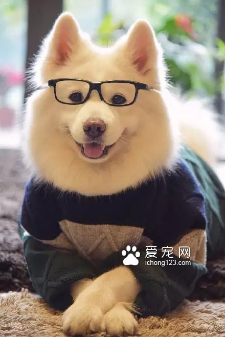 一對可愛的“兄妹”