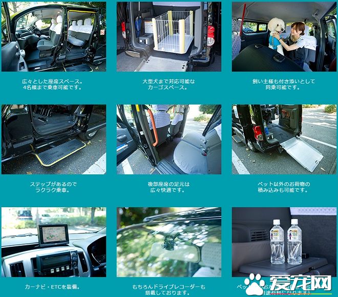 日推寵物計程車 就醫美容更方便