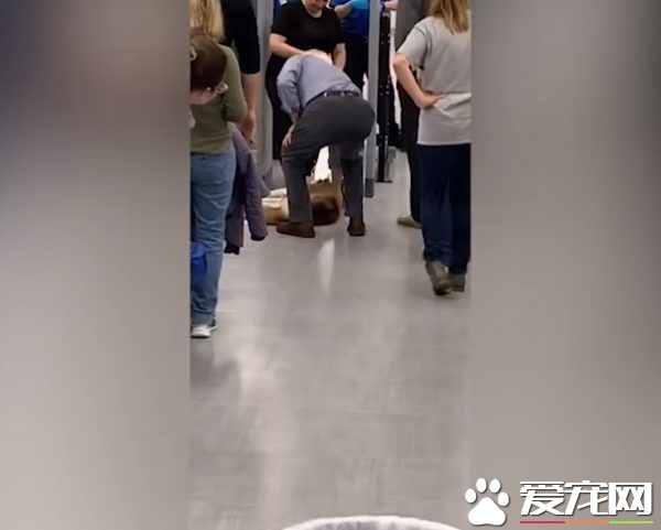 月月心情不美麗倒安檢門前 害后方旅客塞大長龍