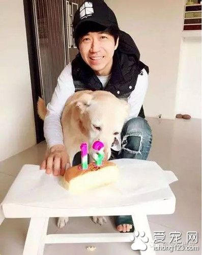 愛犬下半身癱瘓 但光良卻對自己的愛犬不離不棄